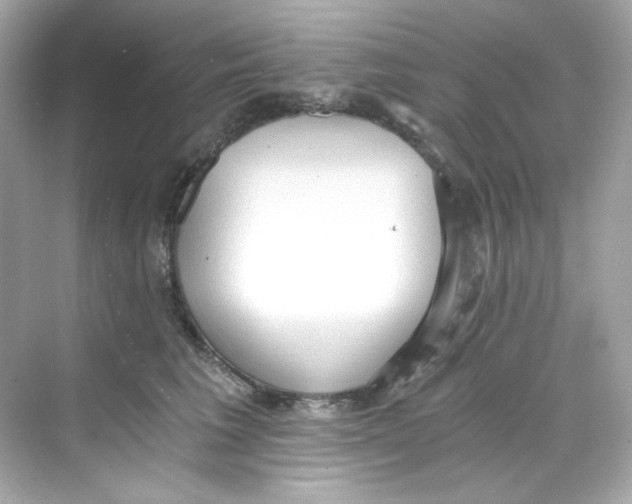 X0000069810613200606091837