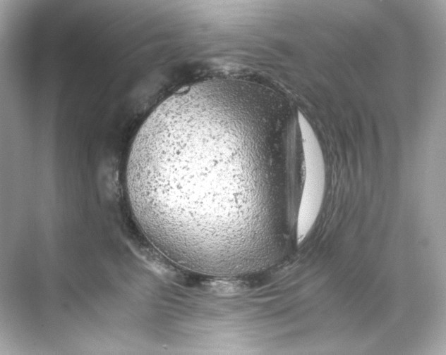 X0000069810615200606091836