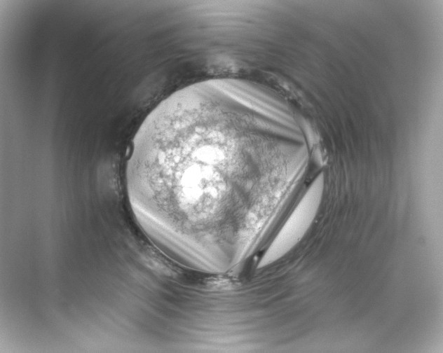 X0000069810616200606091836