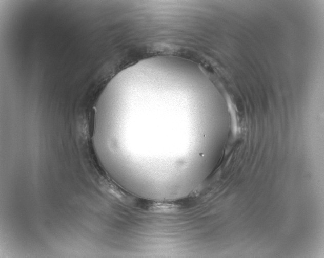 X0000069810617200606091836