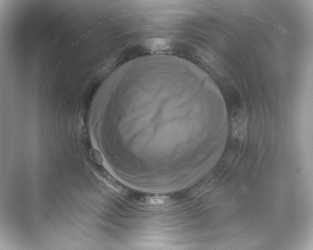 X0000069810618200606091836