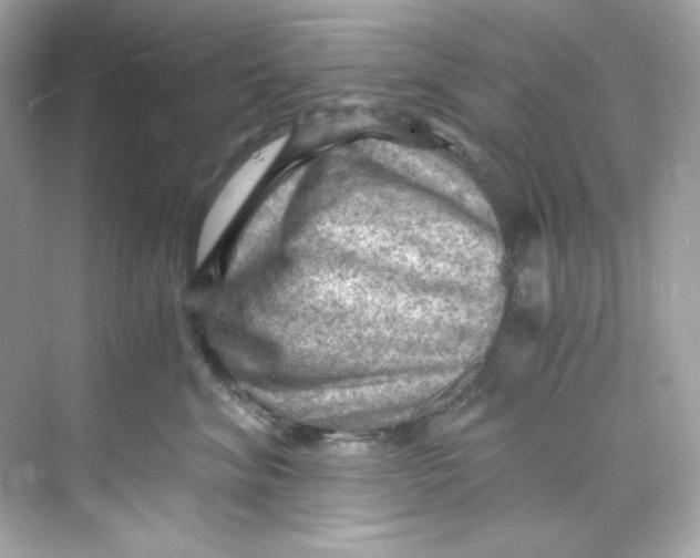 X0000069810620200606091836