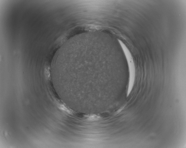 X0000069810621200606091836