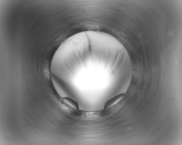 X0000069810622200606091836