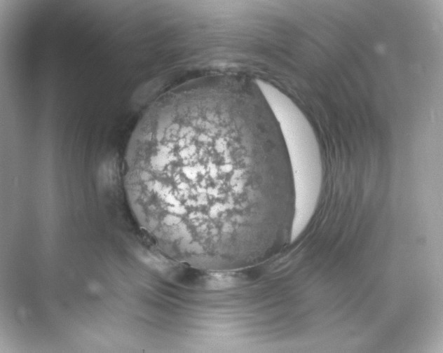 X0000069810623200606091836