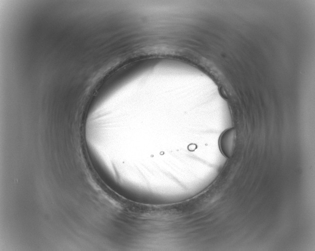 X0000069810625200606091836