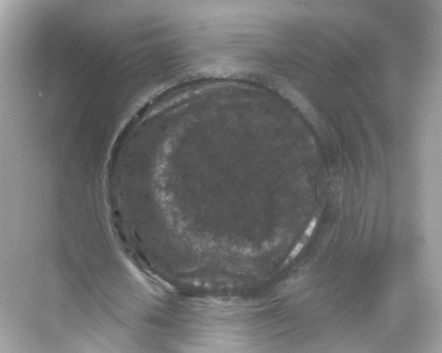 X0000069810626200606091836