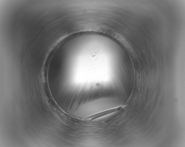 X0000069810628200606091836