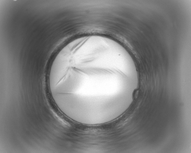 X0000069810629200606091836