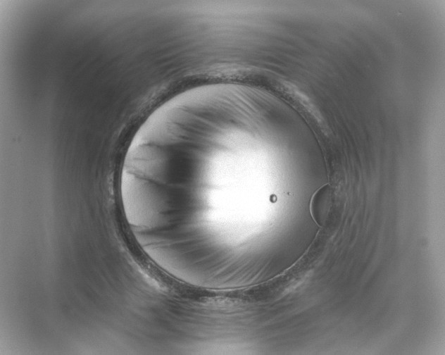 X0000069810633200606091836