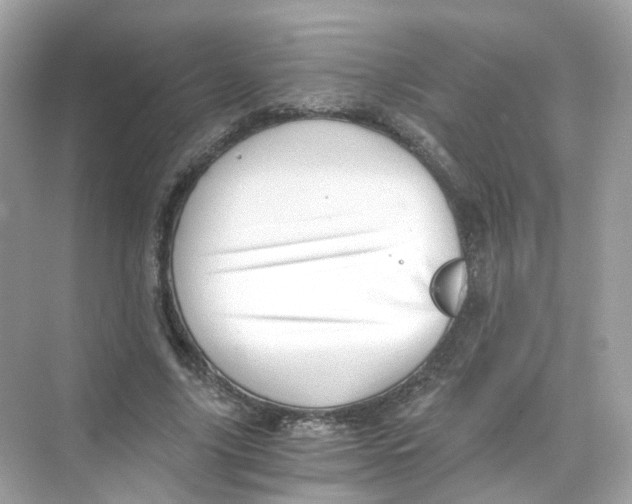 X0000069810635200606091836