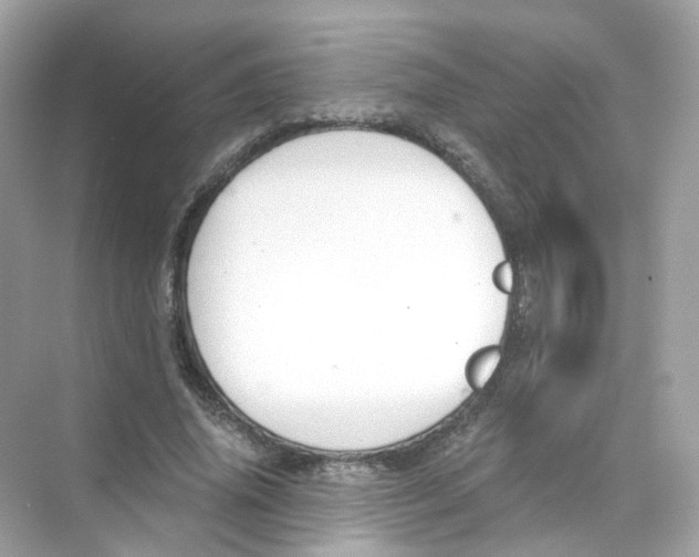 X0000069810636200606091836