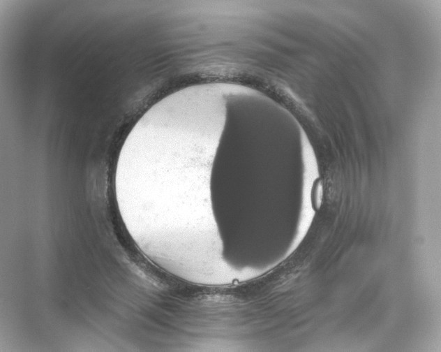 X0000069810637200606091836