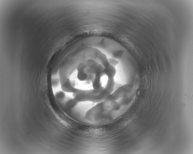 X0000069810638200606091836