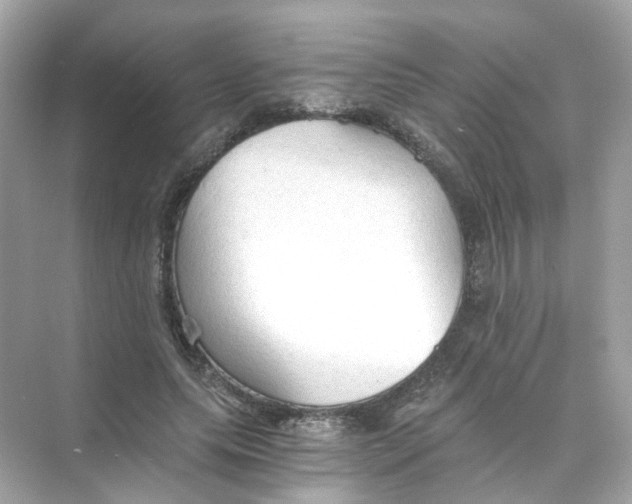 X0000069810639200606091836