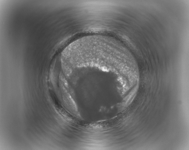 X0000069810640200606091836