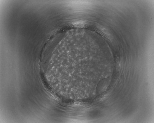 X0000069810641200606091836