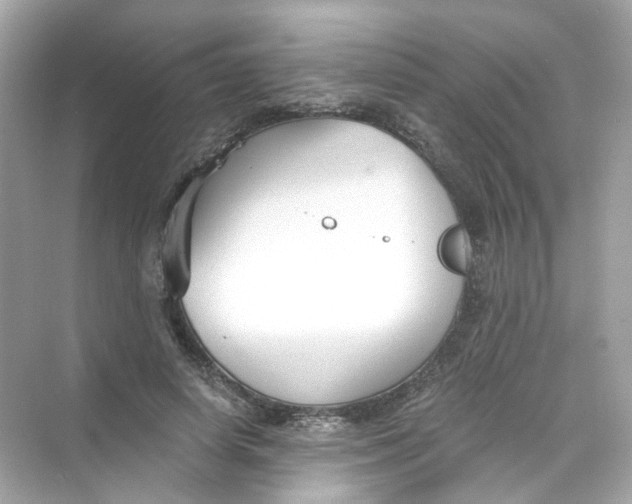 X0000069810642200606091836