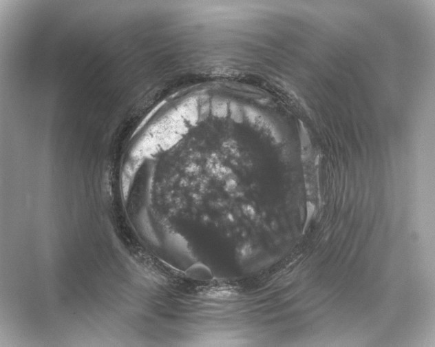 X0000069810643200606091836