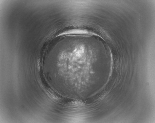 X0000069810644200606091836