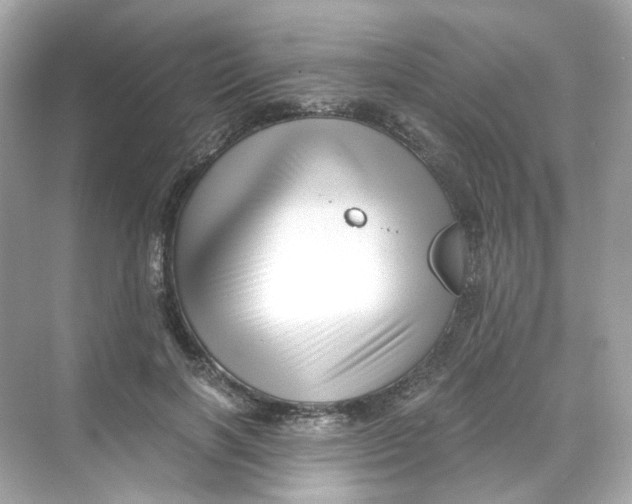 X0000069810646200606091836