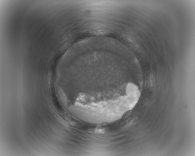 X0000069810647200606091836