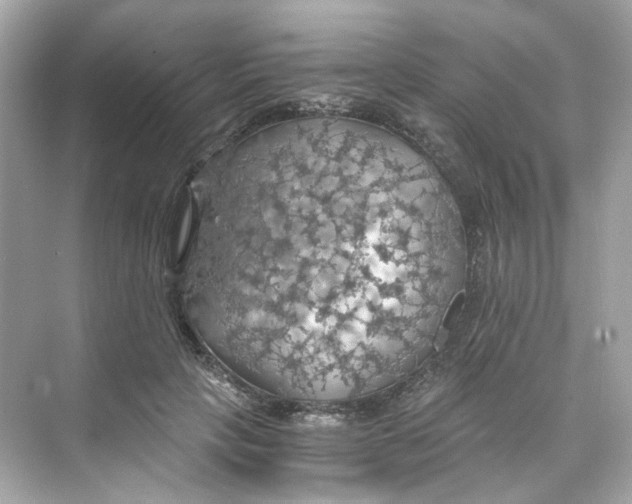 X0000069810649200606091836