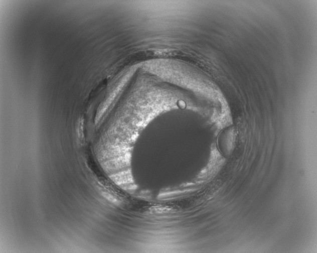 X0000069810650200606091836