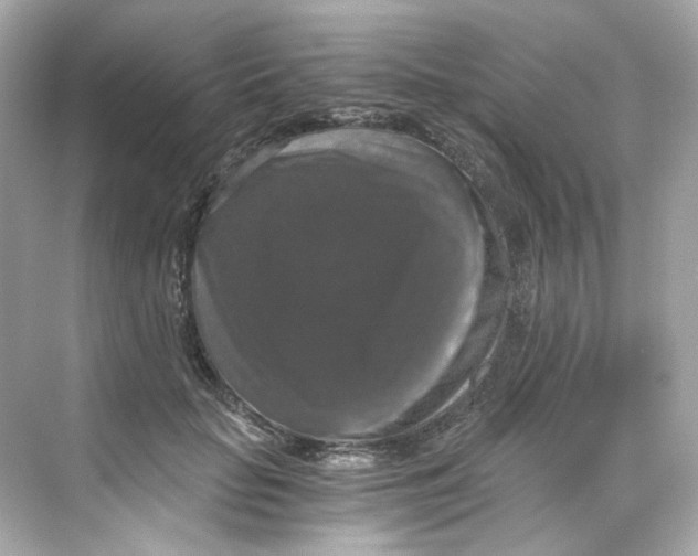 X0000069810653200606091836