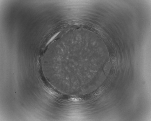 X0000069810654200606091836