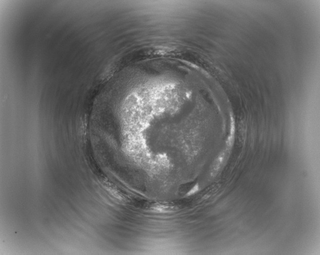 X0000069810657200606091836