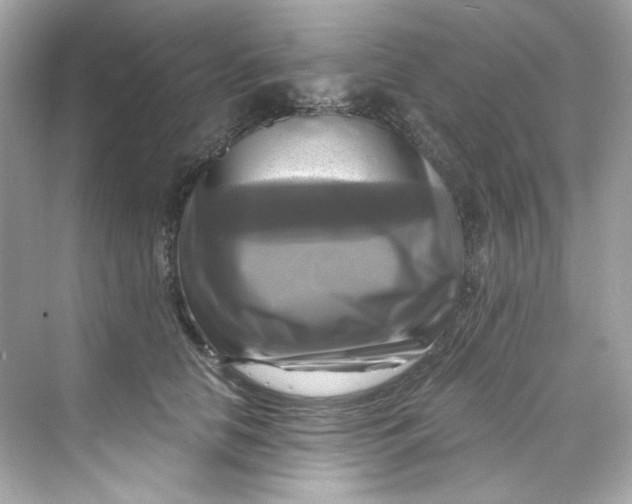 X0000069810658200606091836