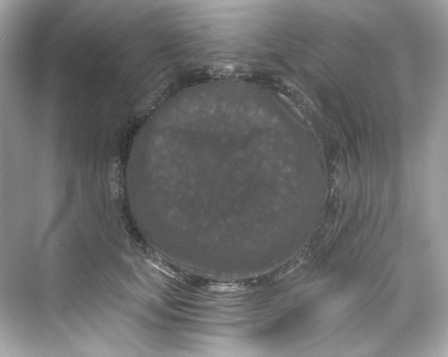 X0000069810659200606091836