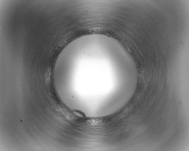 X0000069810660200606091836