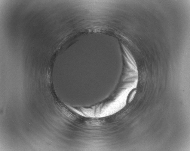 X0000069810661200606091836