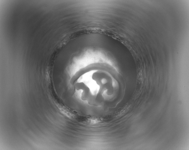 X0000069810662200606091836