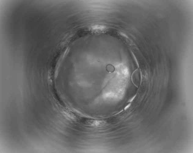 X0000069810663200606091836