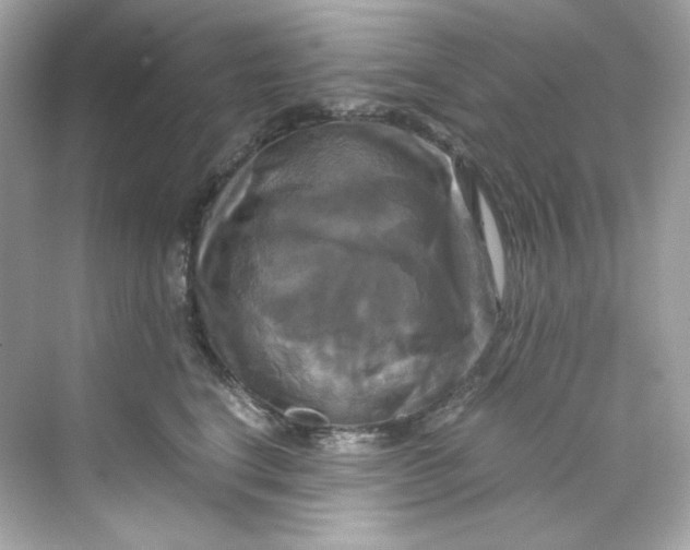 X0000069810664200606091836