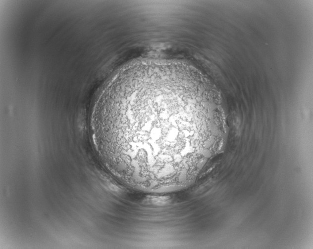 X0000069810665200606091836