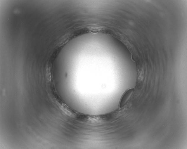 X0000069810666200606091836