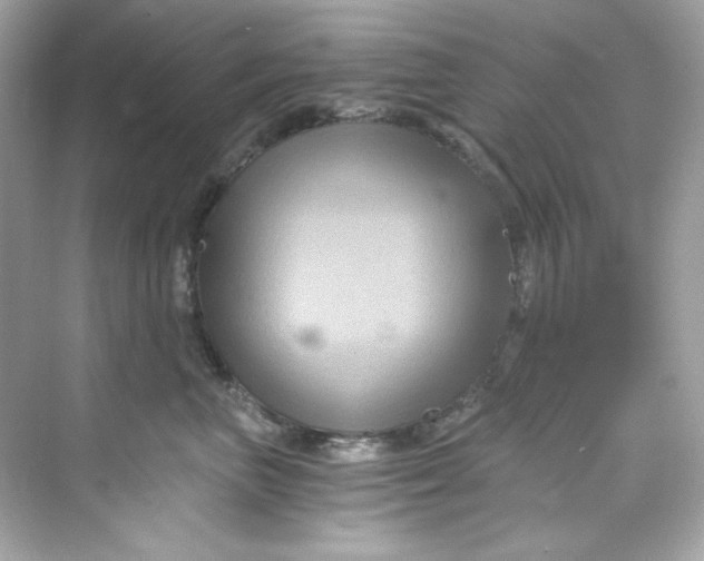 X0000069810667200606091836