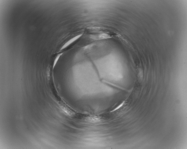 X0000069810668200606091836