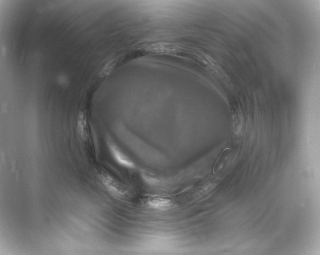 X0000069810669200606091836