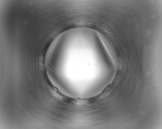 X0000069810670200606091836