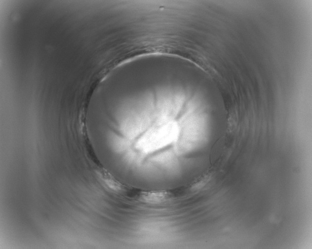 X0000069810671200606091836