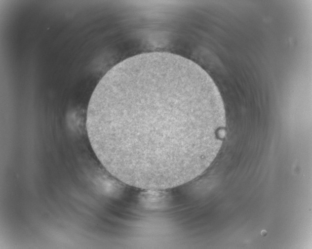 X0000069810672200606091836