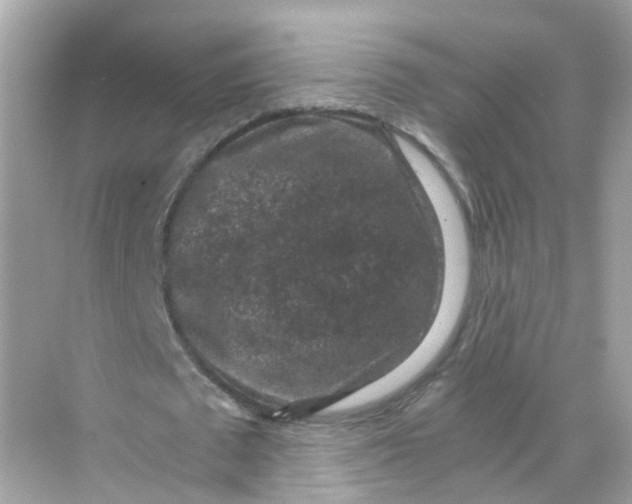 X0000069810673200606091836