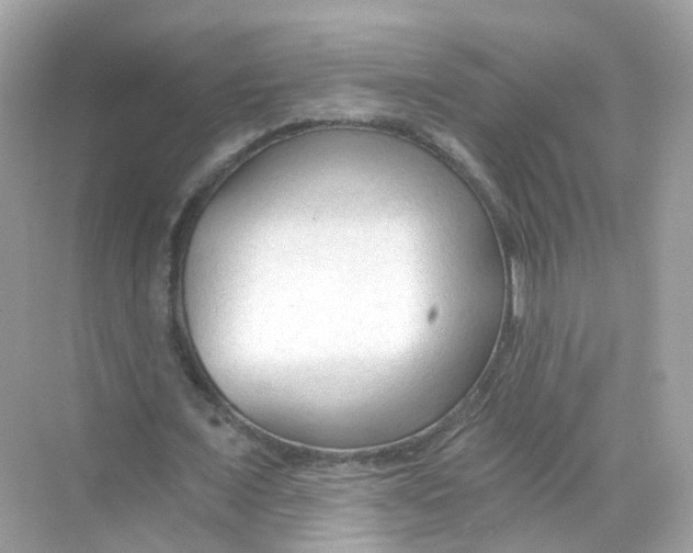 X0000069810675200606091835