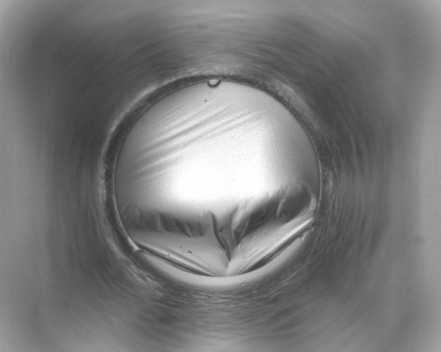 X0000069810676200606091835