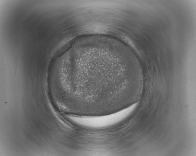 X0000069810677200606091835